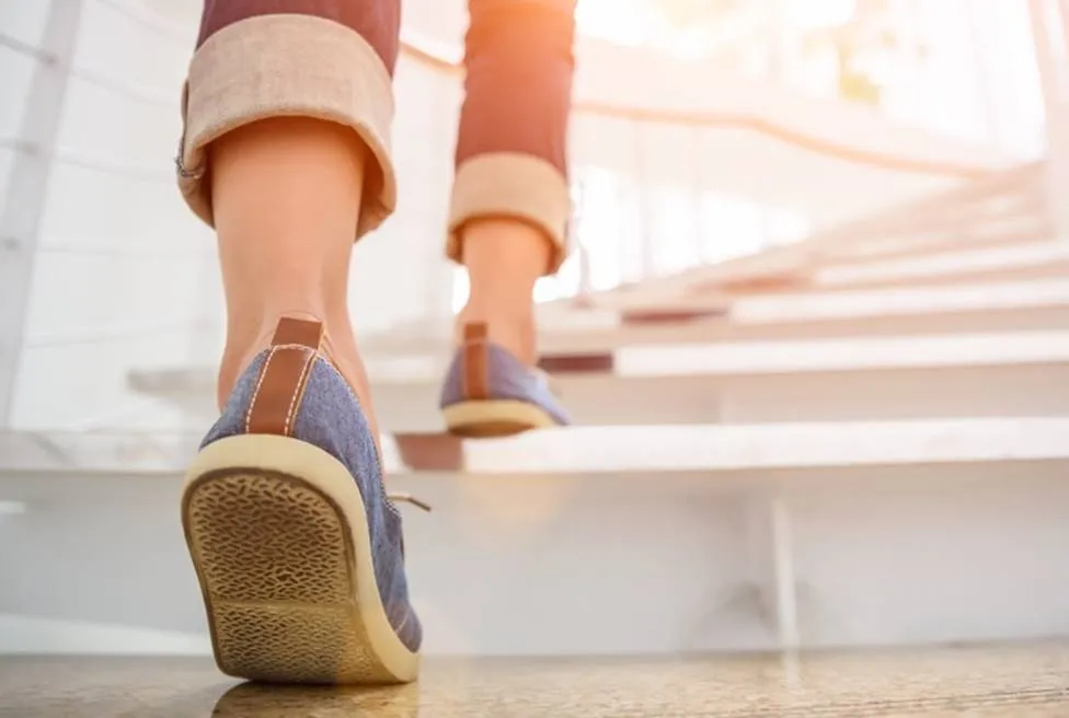 <center>Synapseは想いがめぐる場所</center>